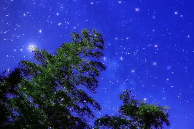 星を見に行く夜